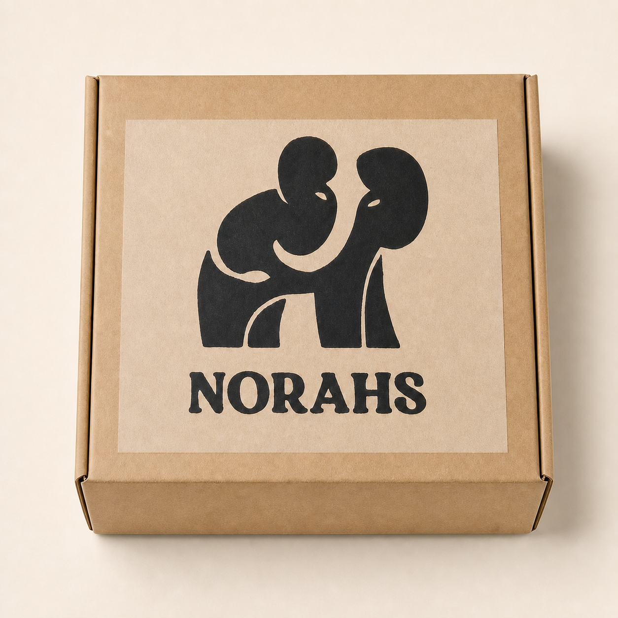 Kraft Norahs shipping box prepared for delivery